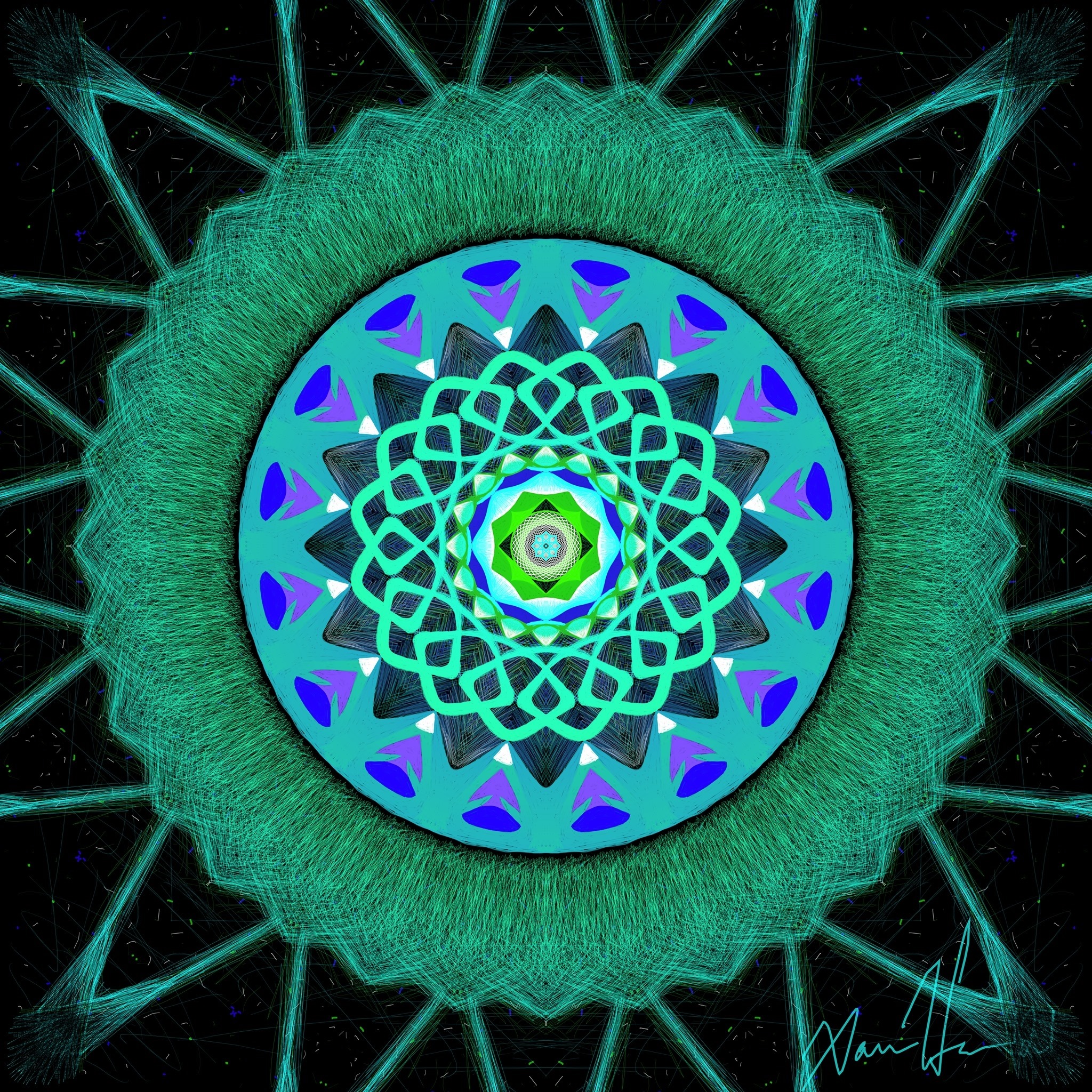 Fibonacci Golden Spiral